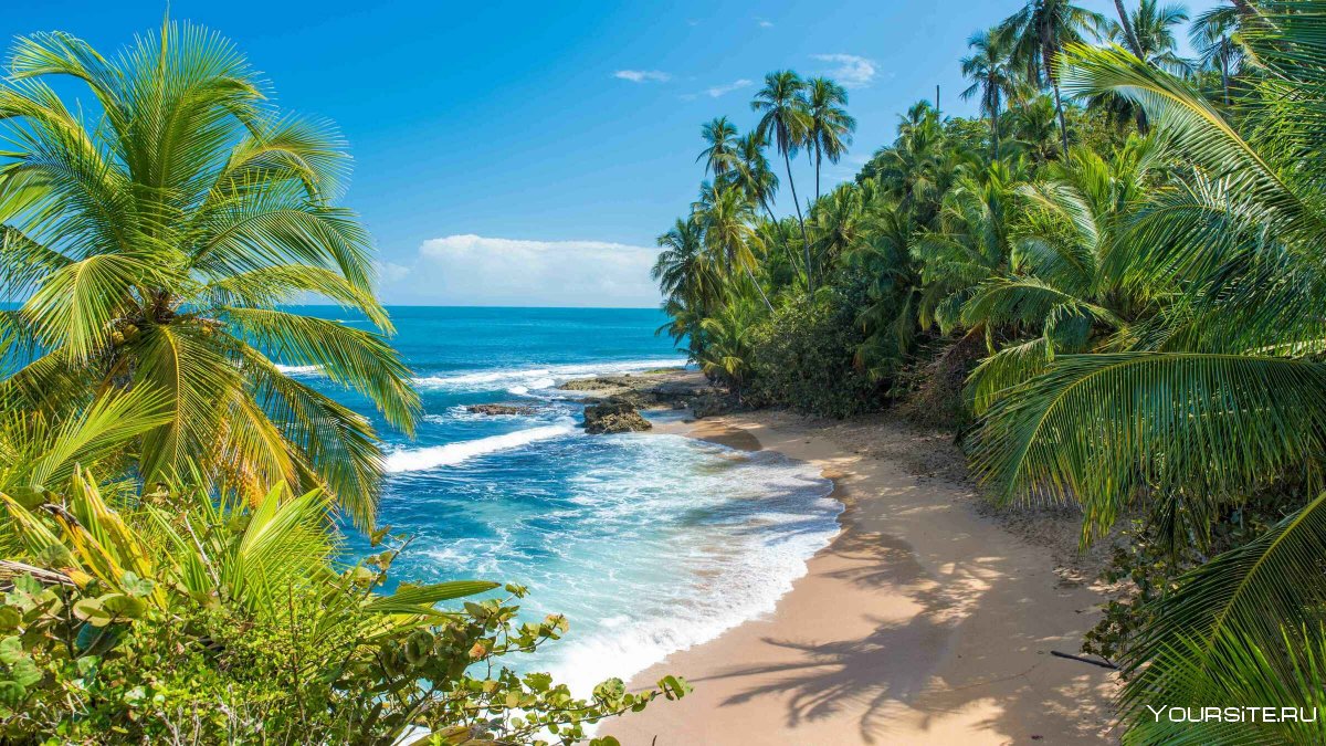 Пляж Манзанилло Коста Рика