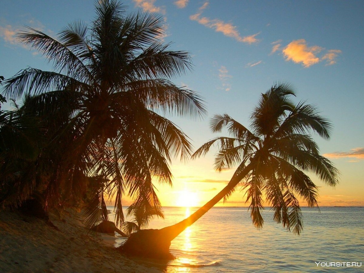 Рассвет на море пальмы