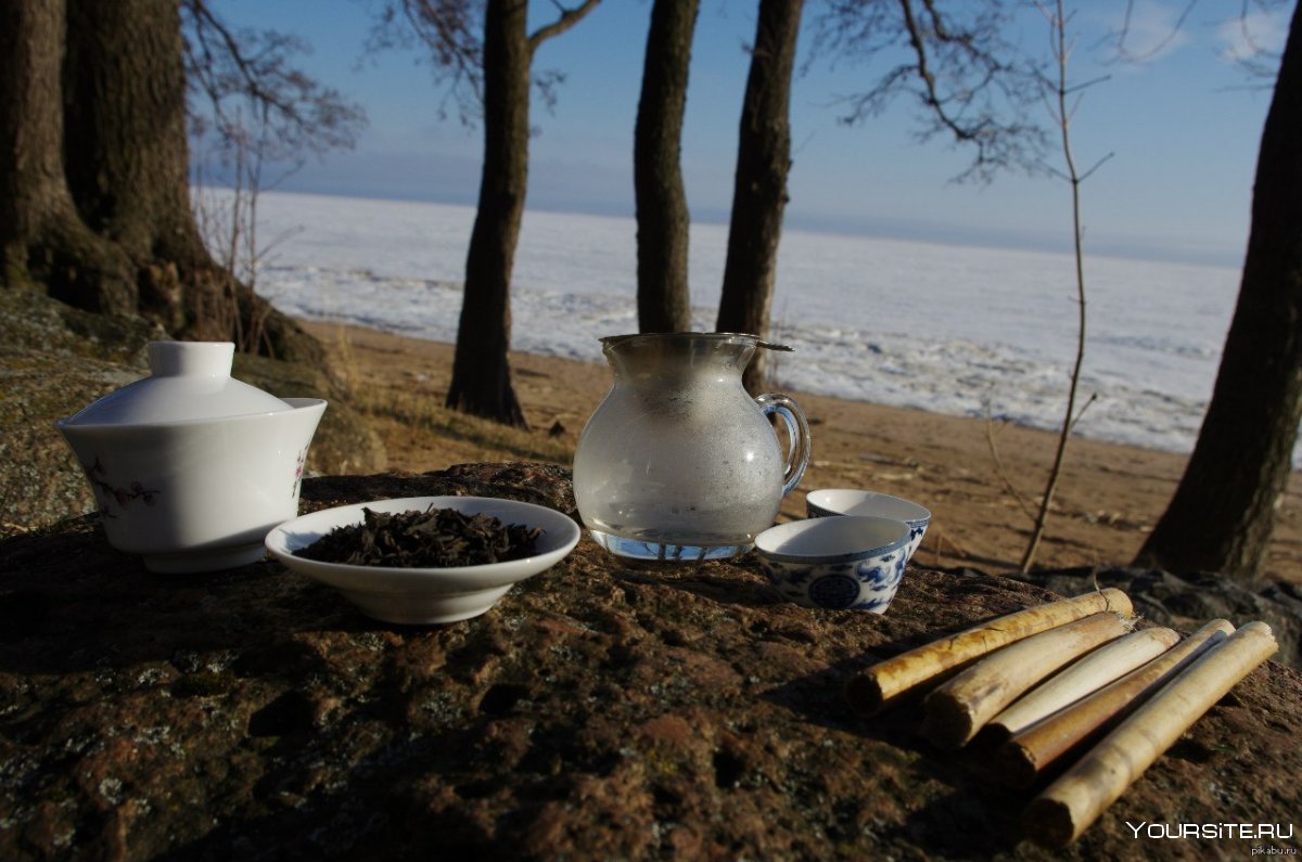 Чайная церемония на природе