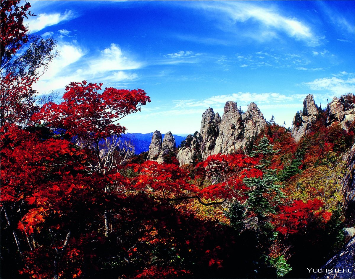 Национальный парк Сораксан Южная Корея