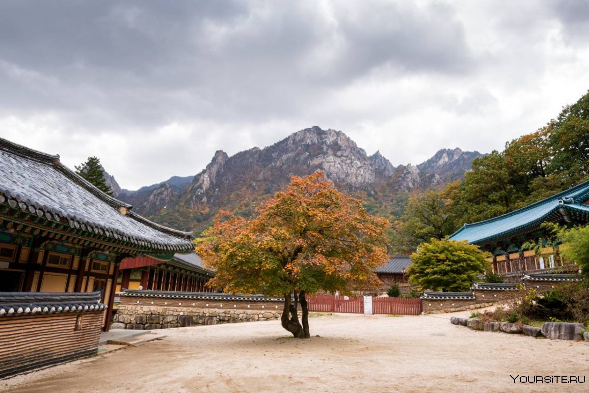Парк Сораксан в Южной Корее