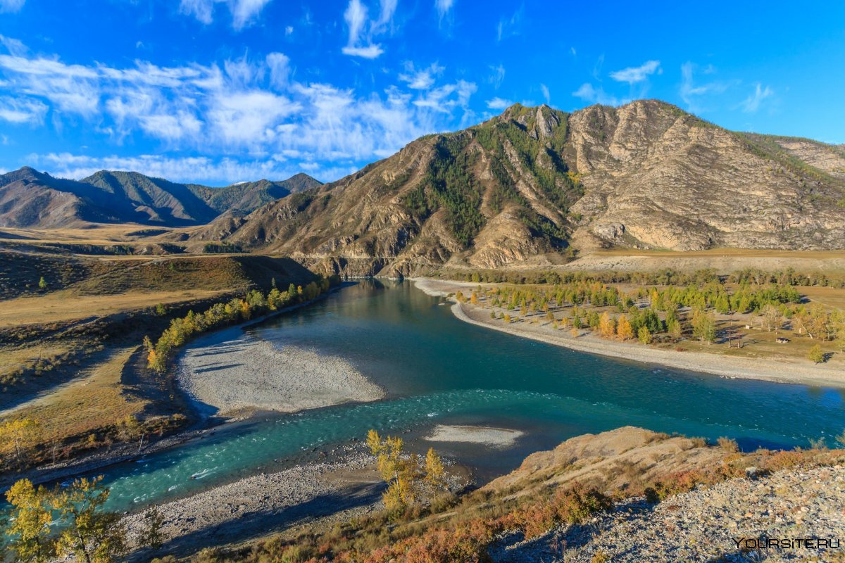 Север Казахстана природа