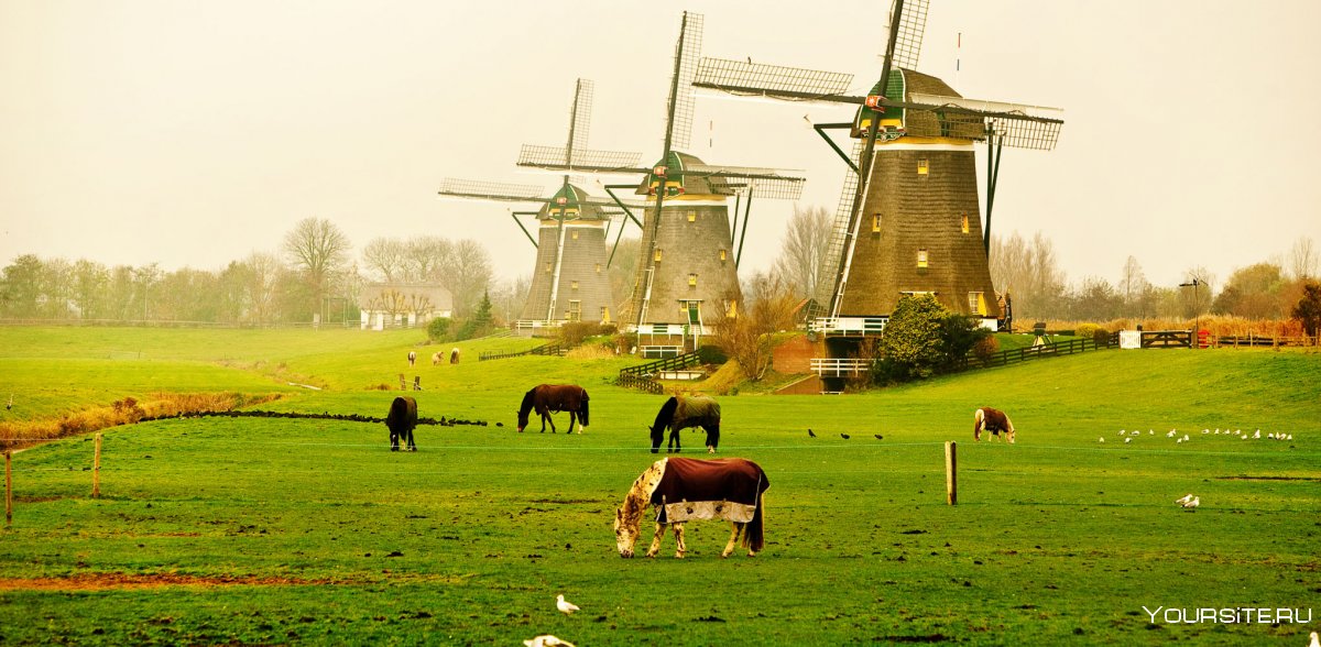 Голландия мельницы фермы