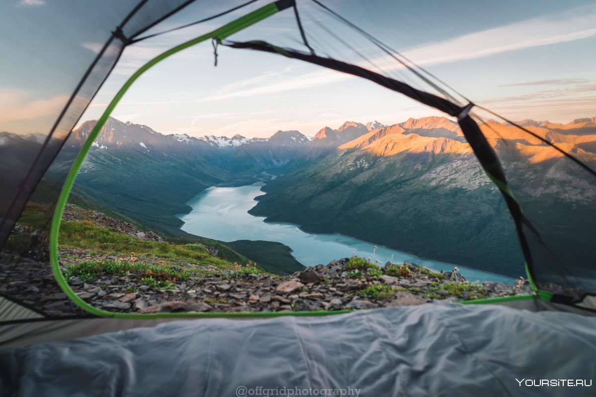 Вид из палатки на кувшинки