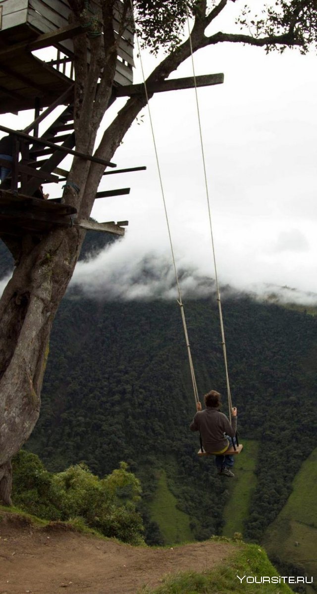 Домик на дереве casa del arbol, Эквадор
