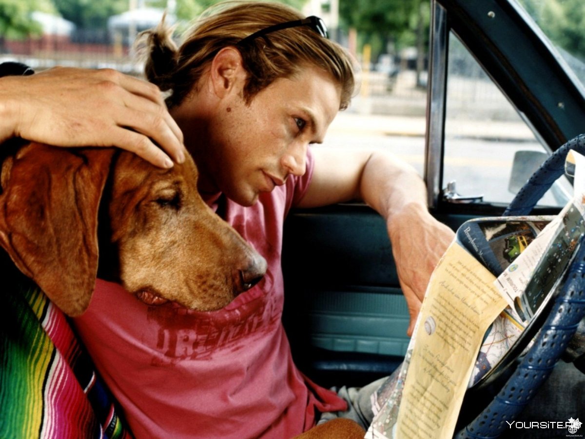 Беар Гриллс