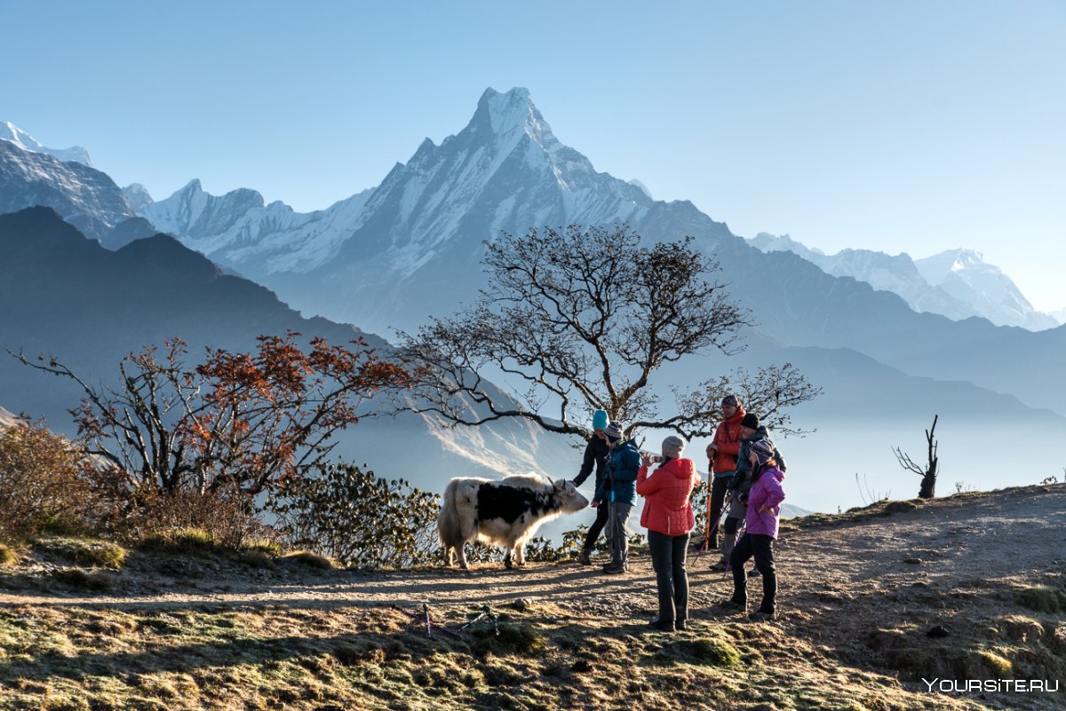 Горепани Poon Hill