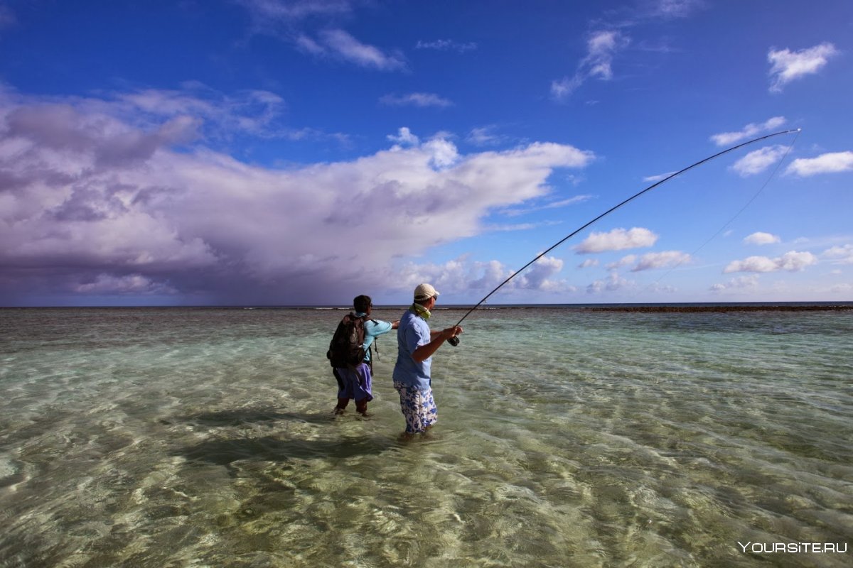 Мальдивы рыболовство