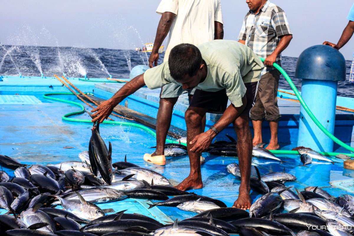 Мальдивы бирюзовые