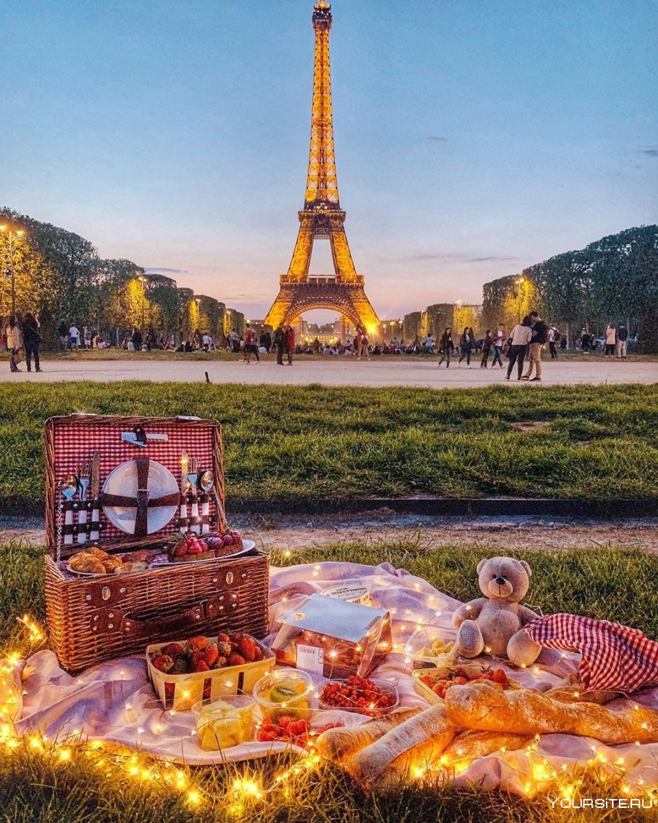 Париж пикник Эйфелева