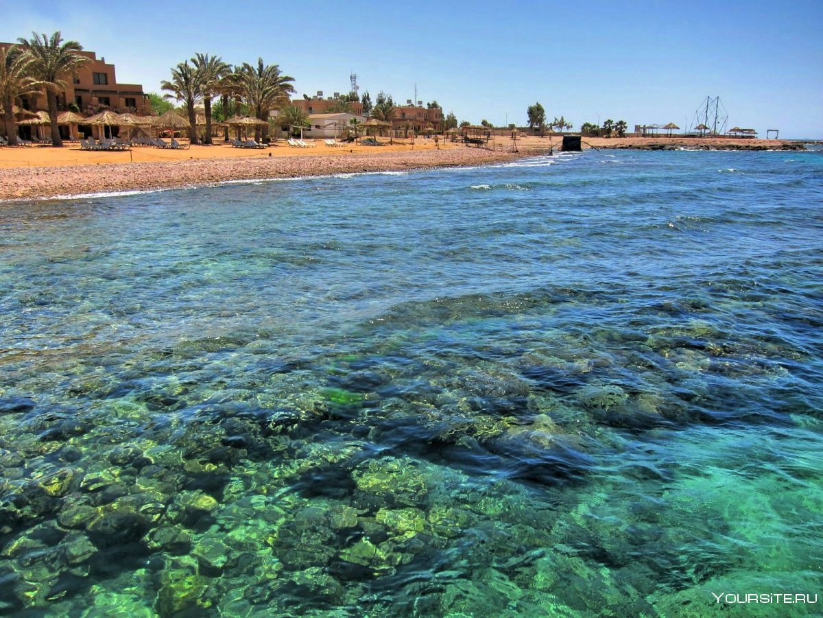 Дайвинг на Красном море в Израиле