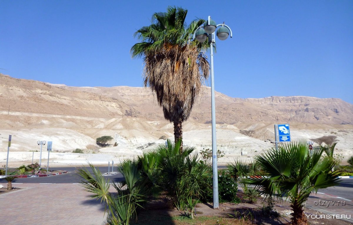 Иерусалим Мертвое море