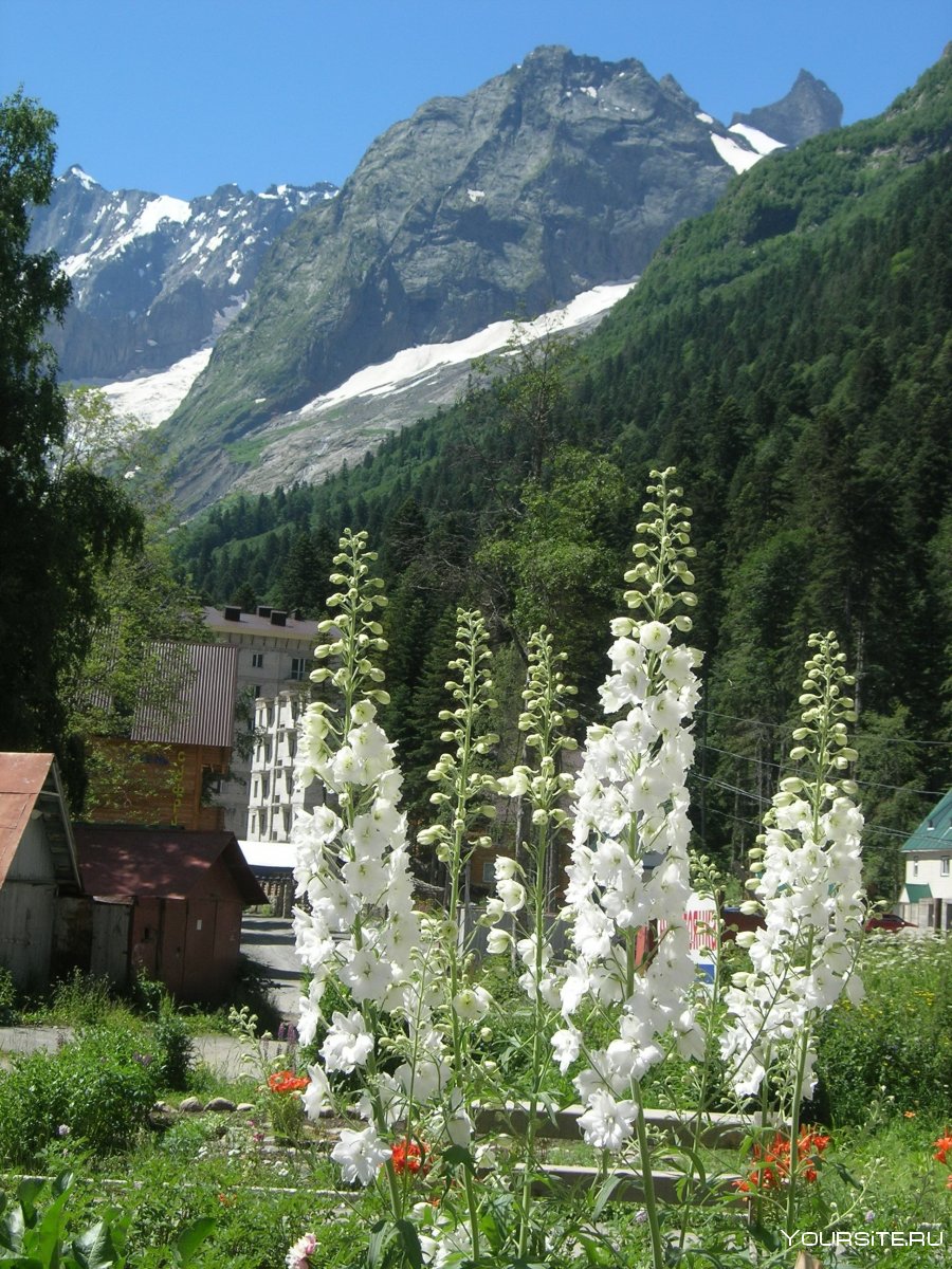 Домбай (Горная территория)