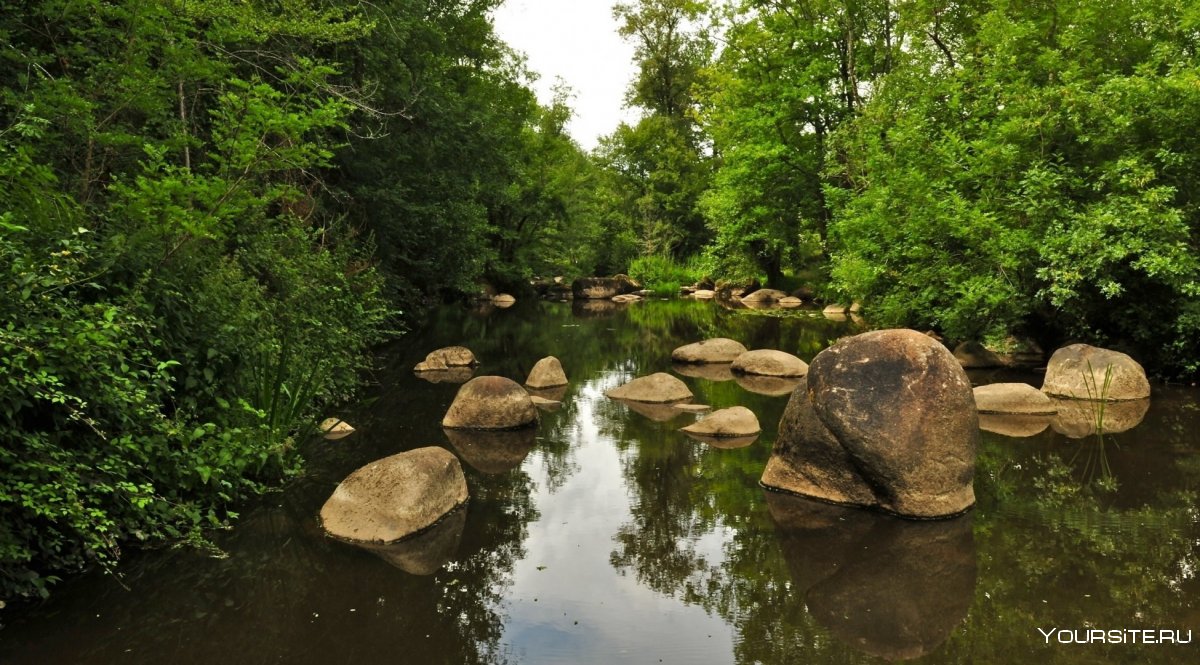 Природа река лес камни