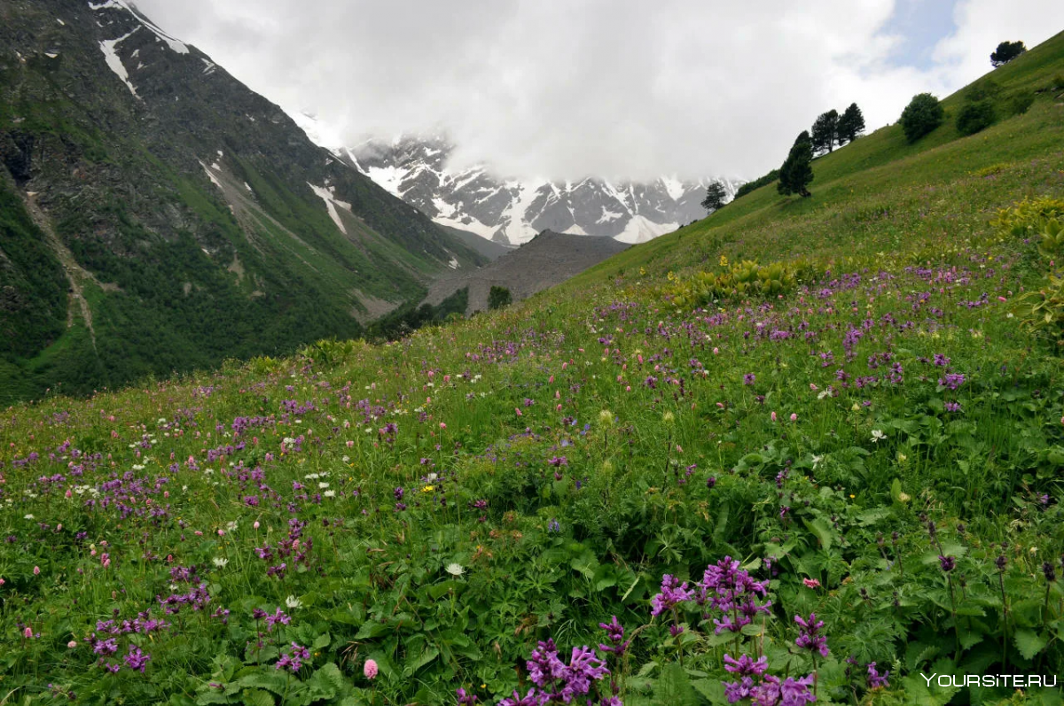Горы Кавказа Абхазия