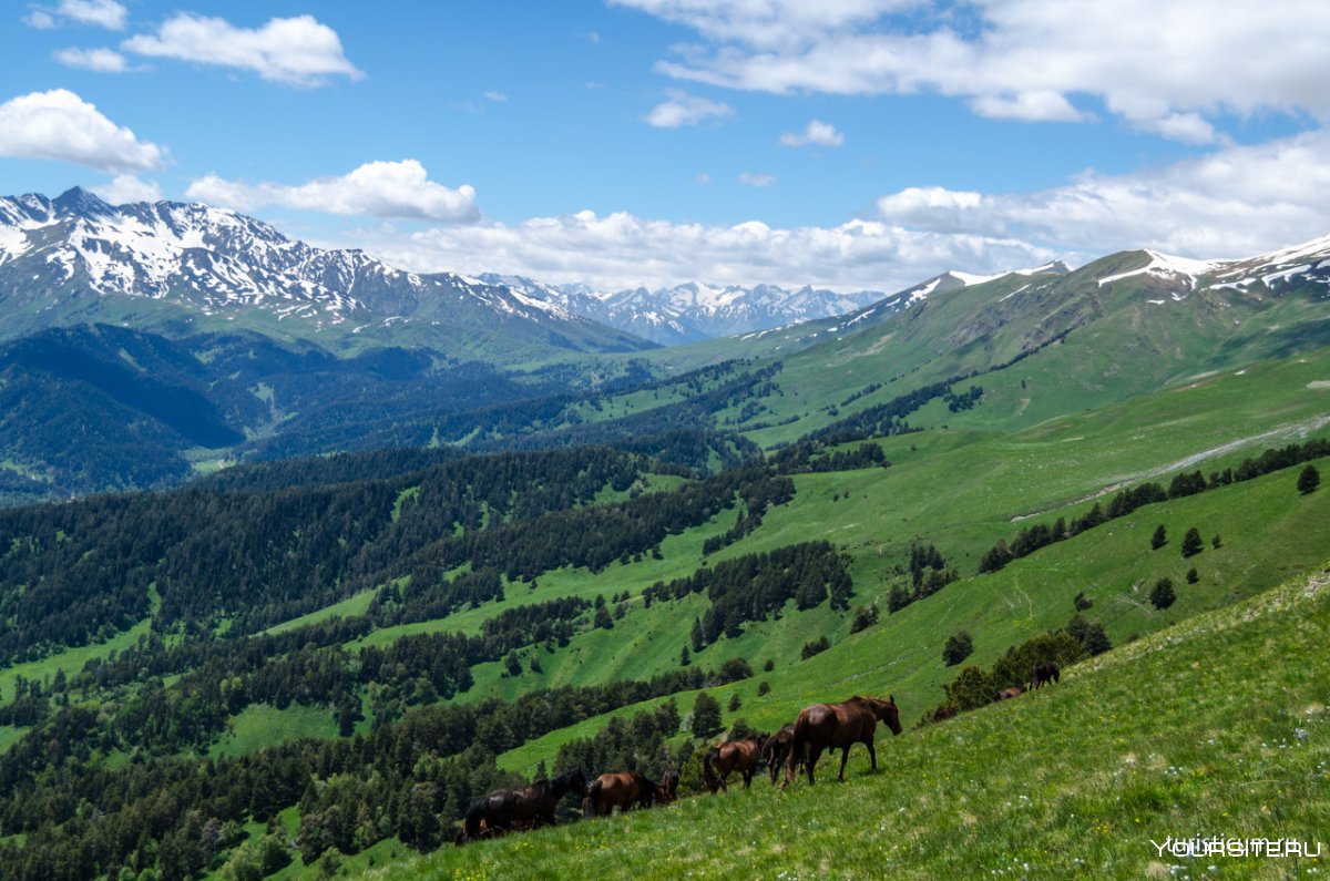 Альпийские Луга Приэльбрусья