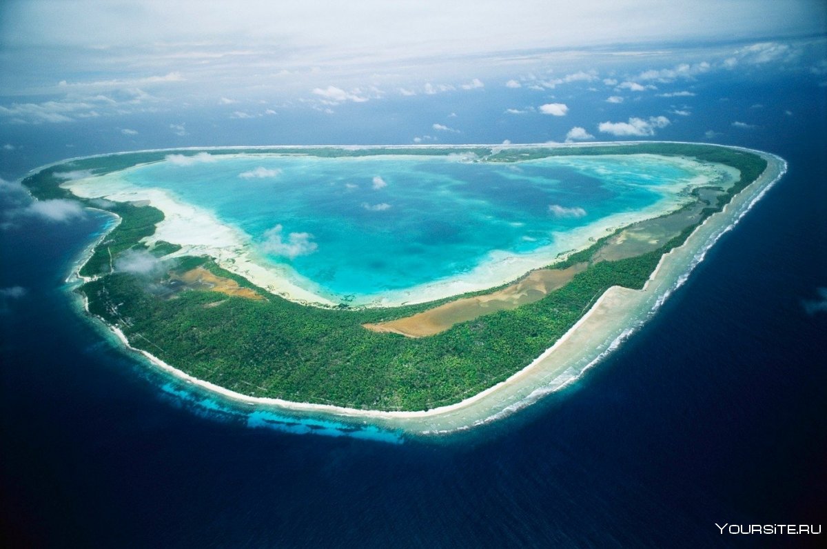 Мальдивы остров Thinadhoo Пламерия