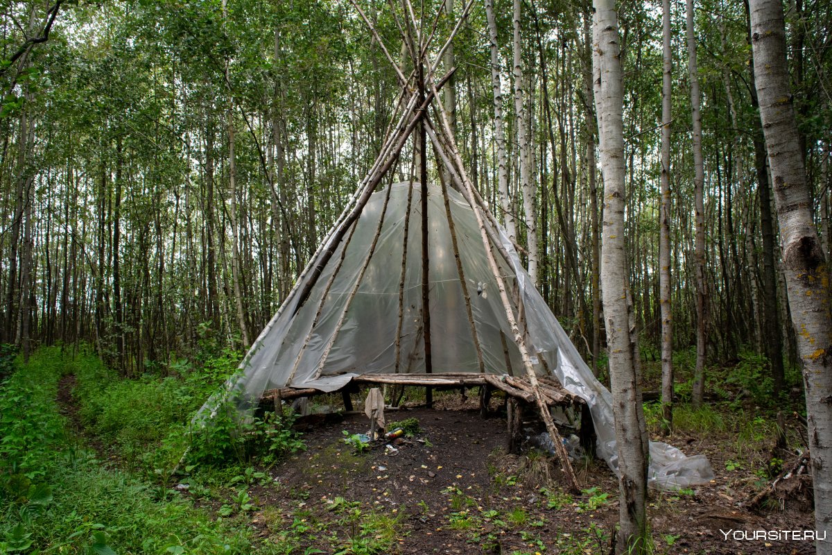 Bushcraft лагерь в лесу
