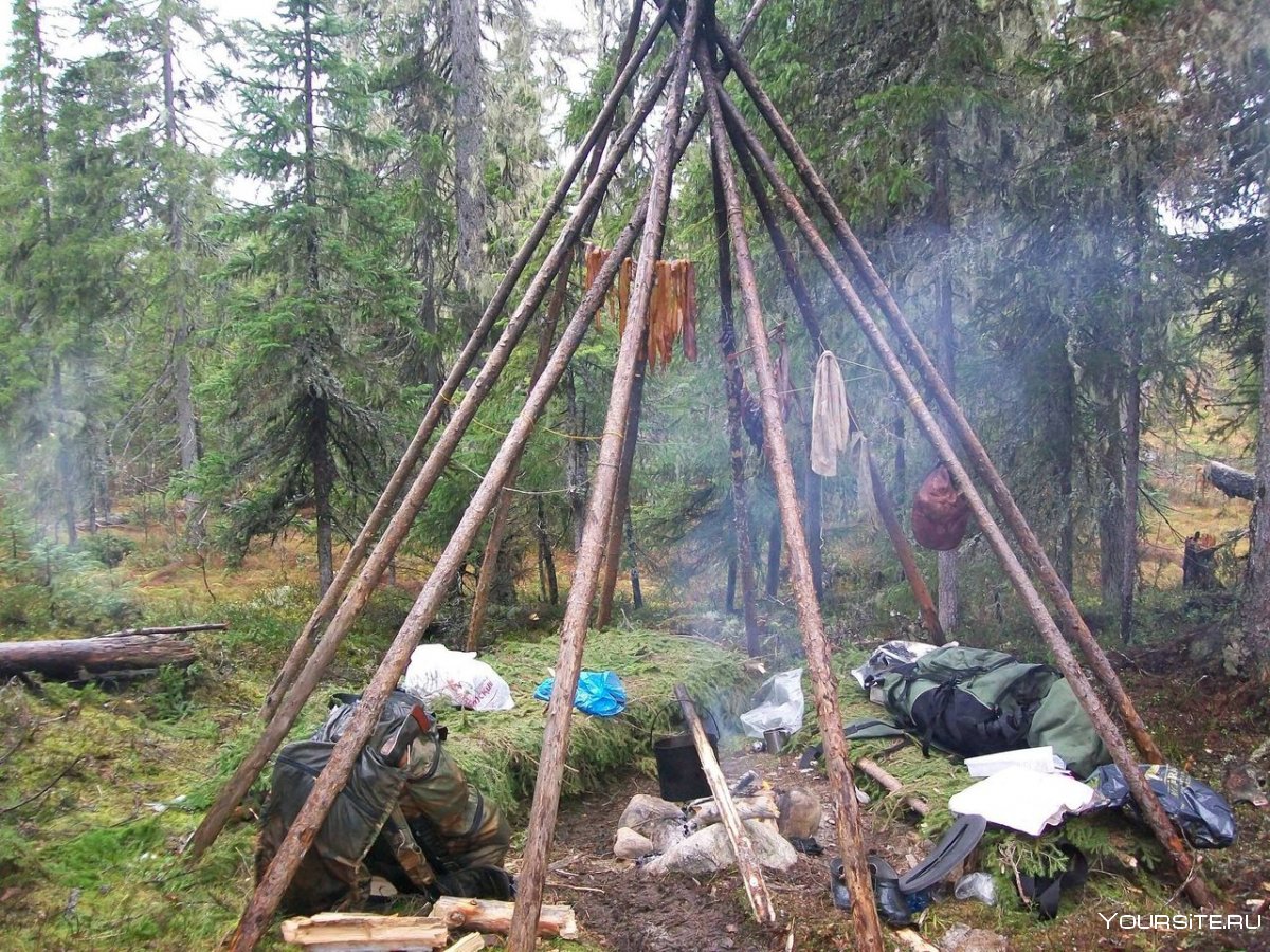 Палаточный лагерь "Вольный город"