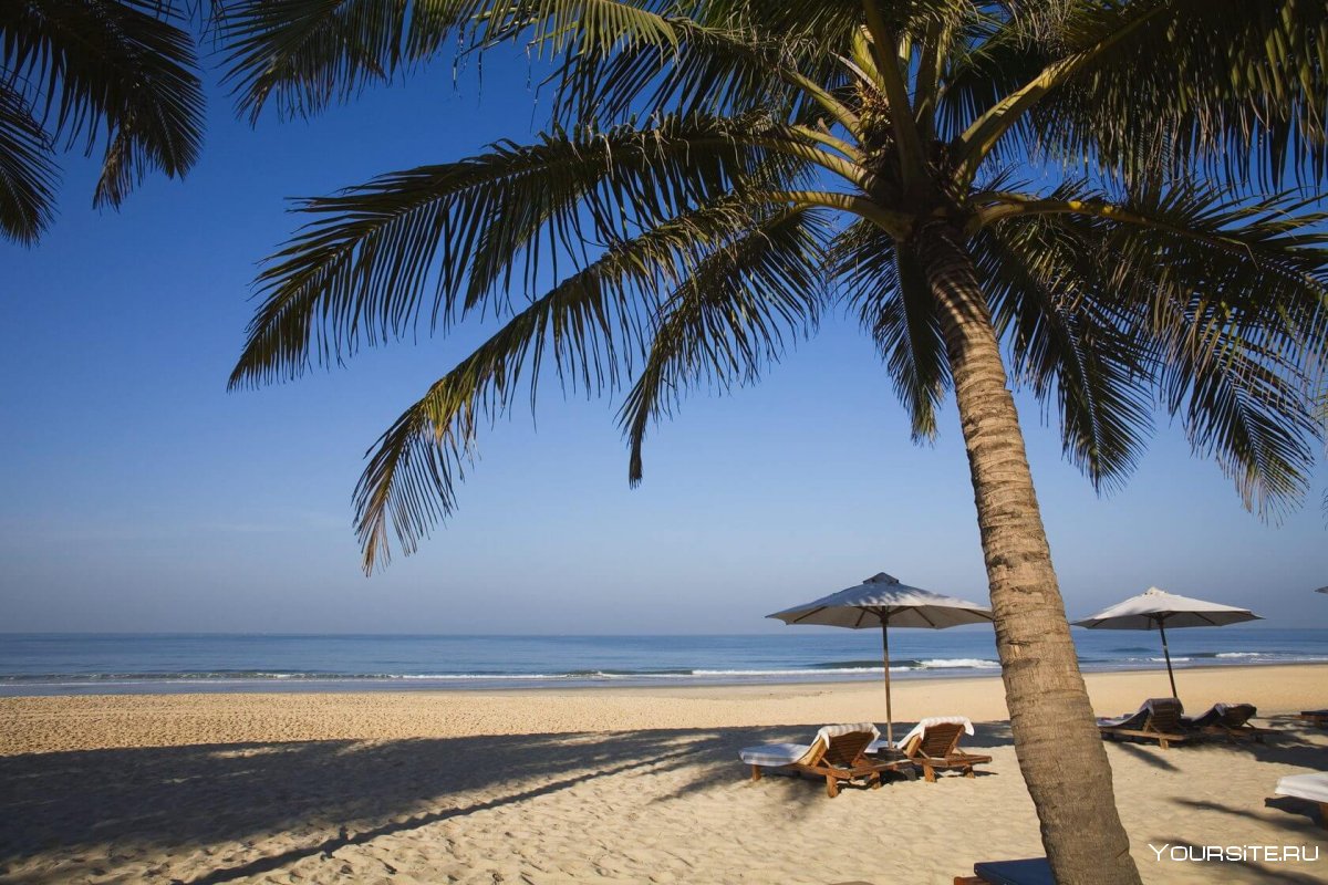 Alleppey Beach