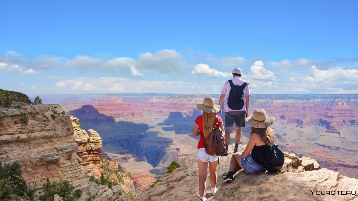 Mule Grand Canyon