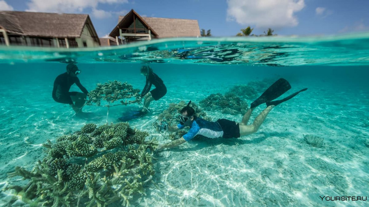 Мальдивы реальные фото туристов