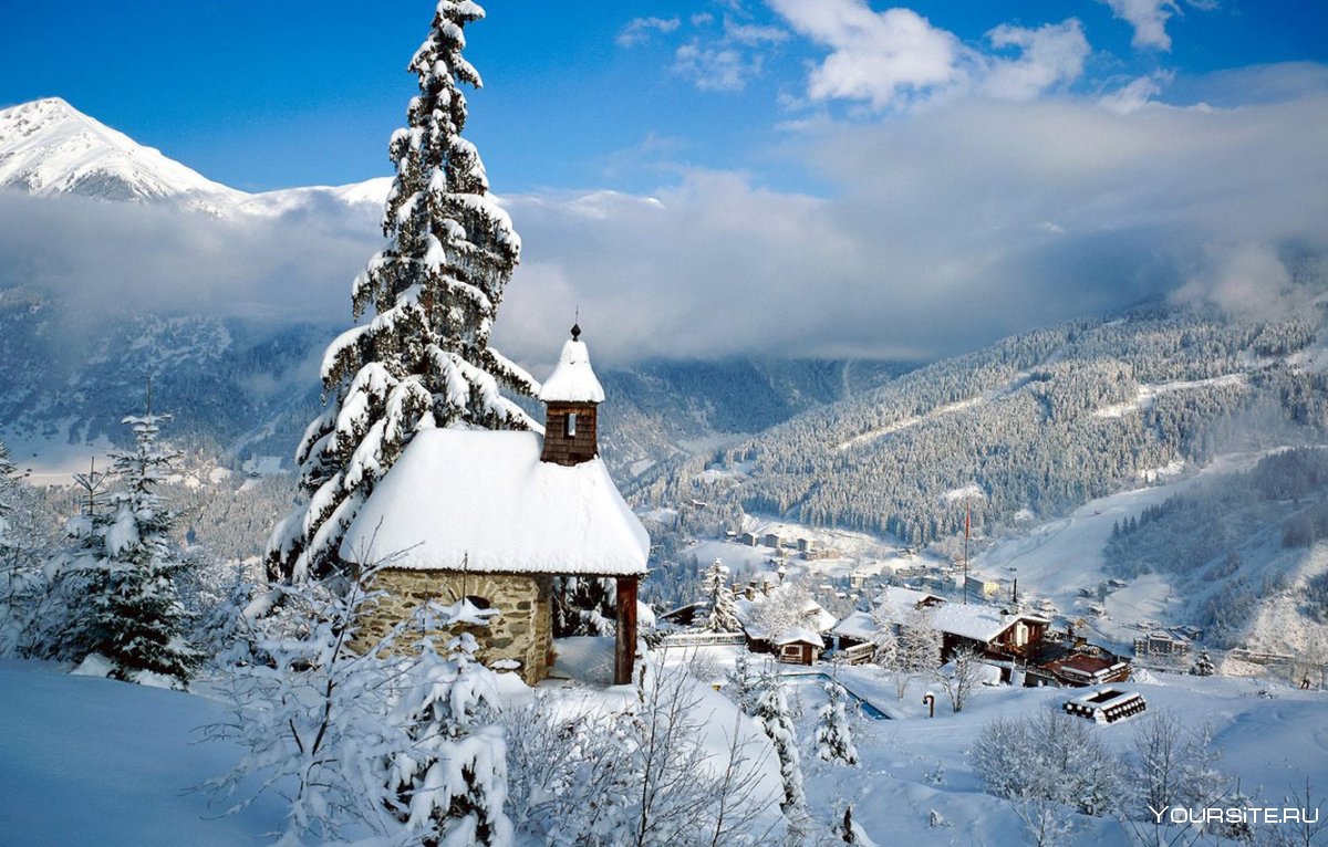 Заснеженный лес Альпы Австрия