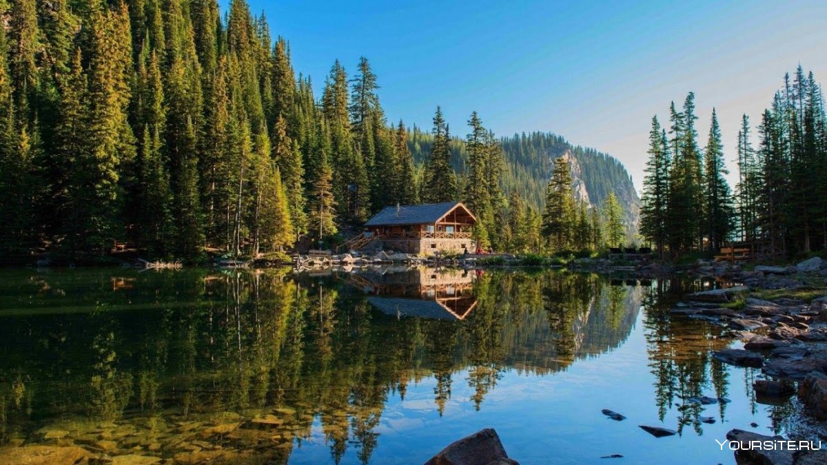 Лес горы штат Монтана домик у озера