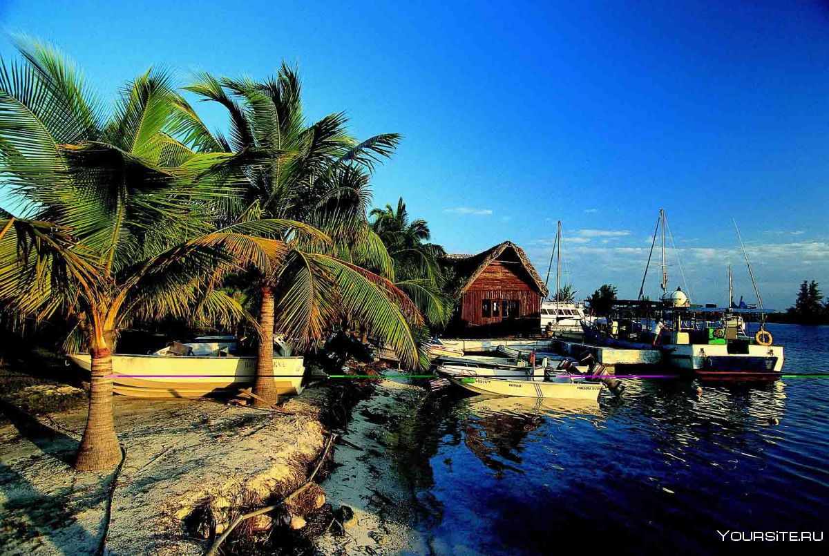 Канкун природа