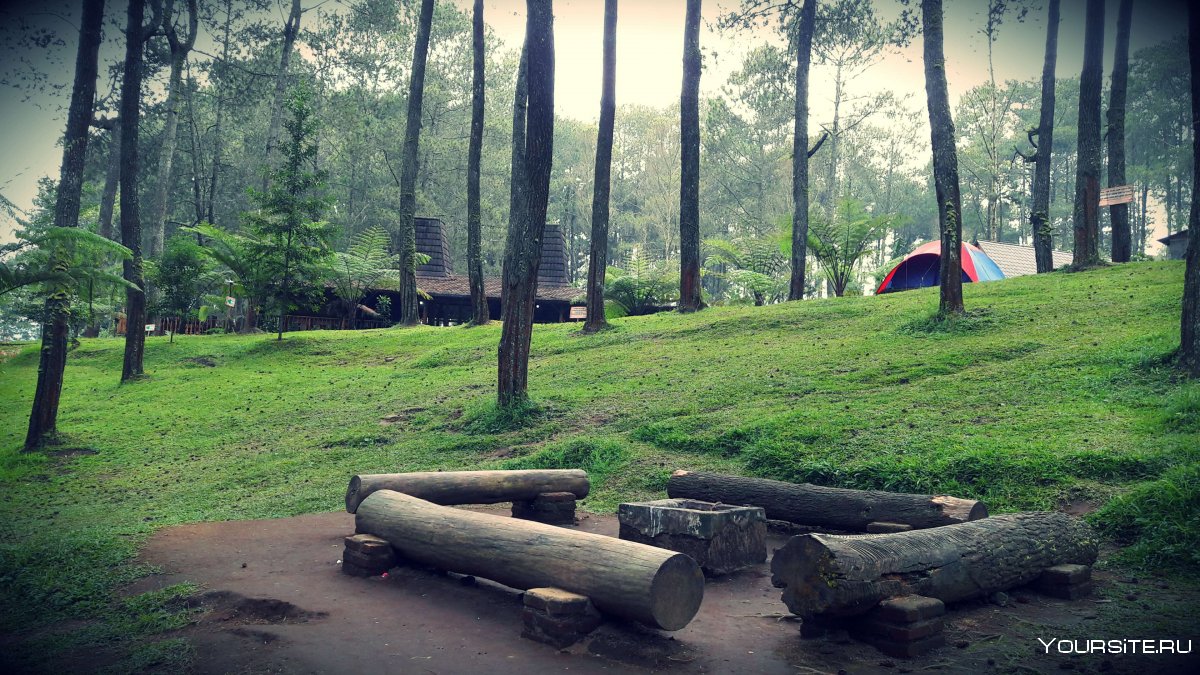 Лагерь в лесу без людей