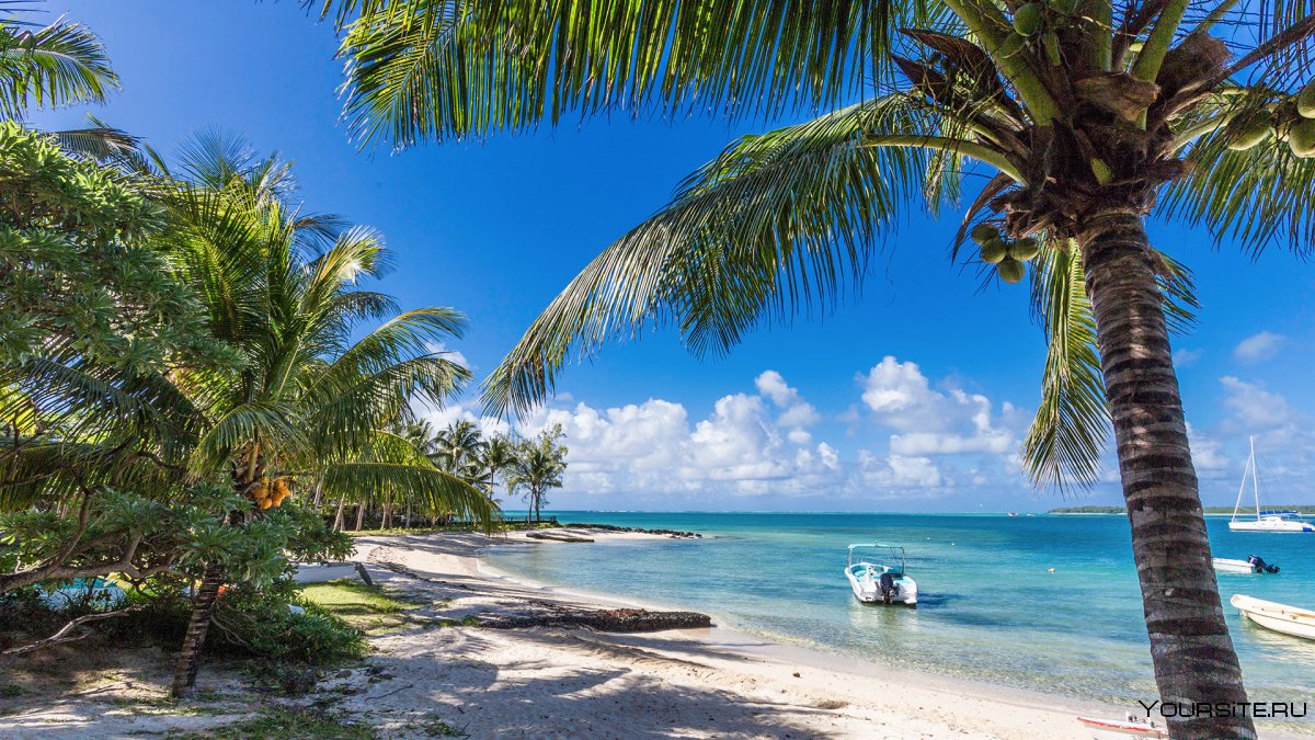 The Islands are .... With Tourists