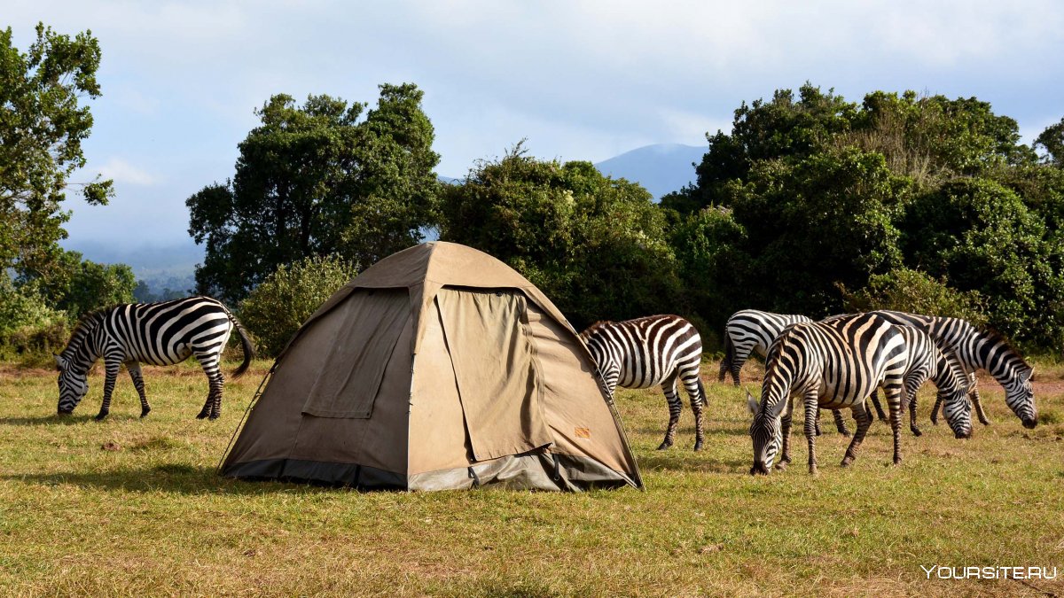 Парк Микуми Танзания Килиманджаро