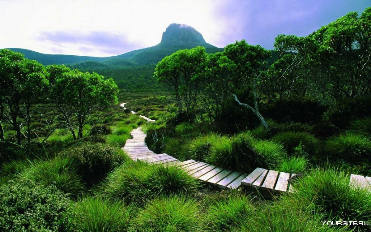 Национальный парк Фрейсине (Австралия)