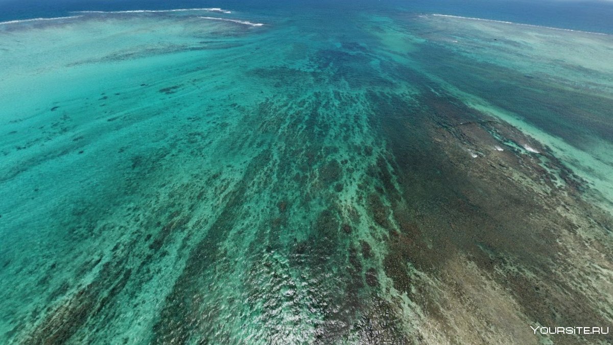 Подводный водопад острова Маврикий видео