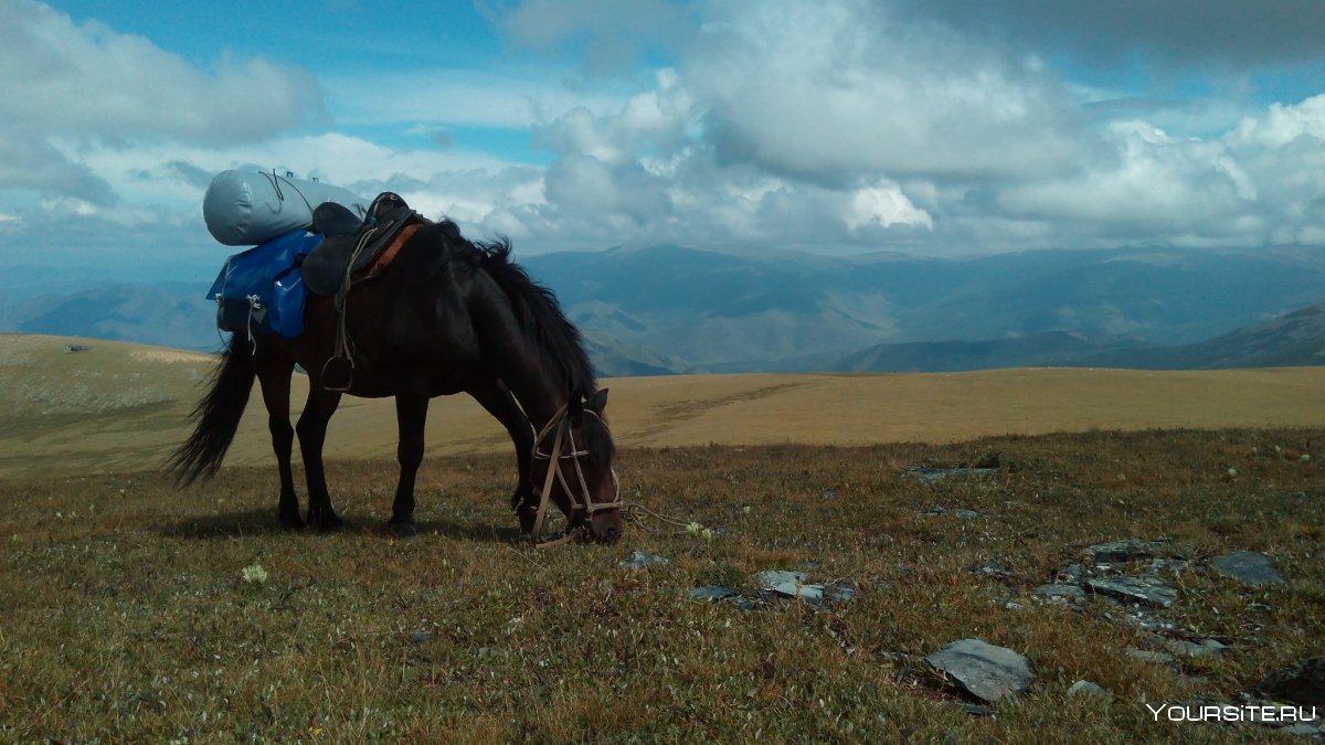 Конный тур Монголия