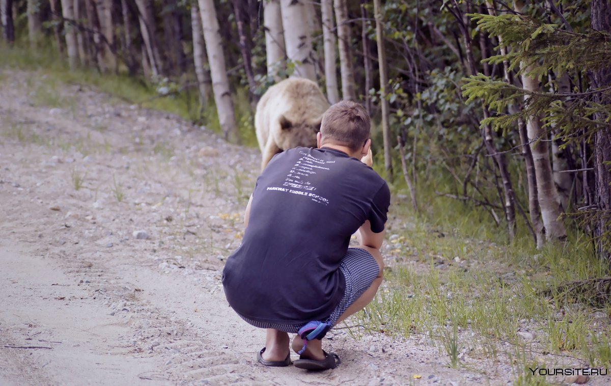 Встреча с медведем в Карелии