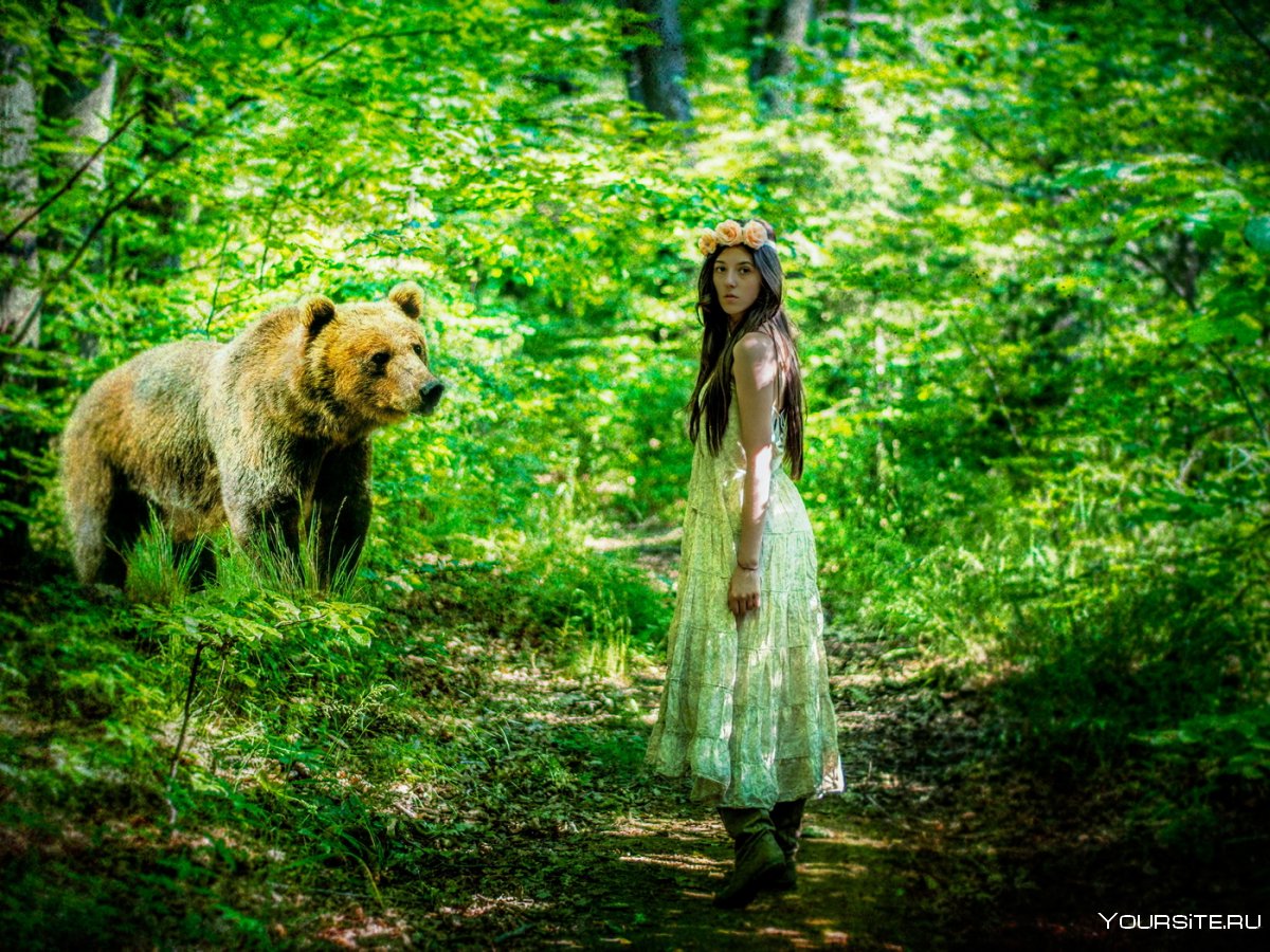 Фотосессия с медведем в лесу