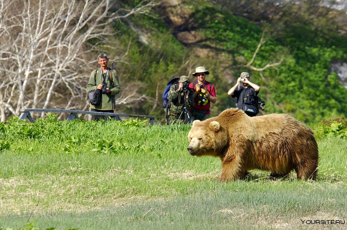 Туризм в национальных парках России