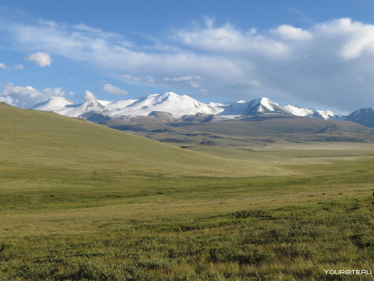 Горы Алтай плато Укок Мумия