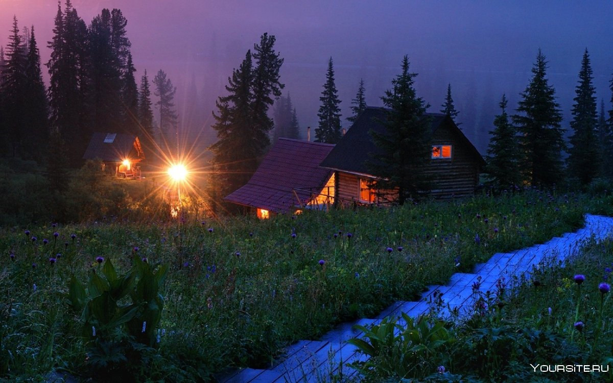 Деревня в лесу ночью