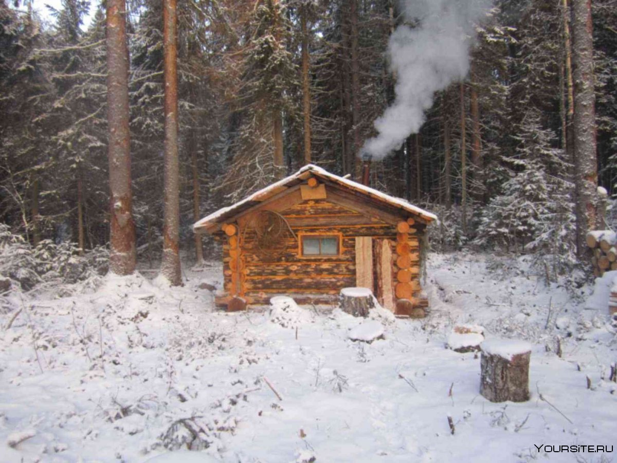 Таежная Заимка горный Алтай