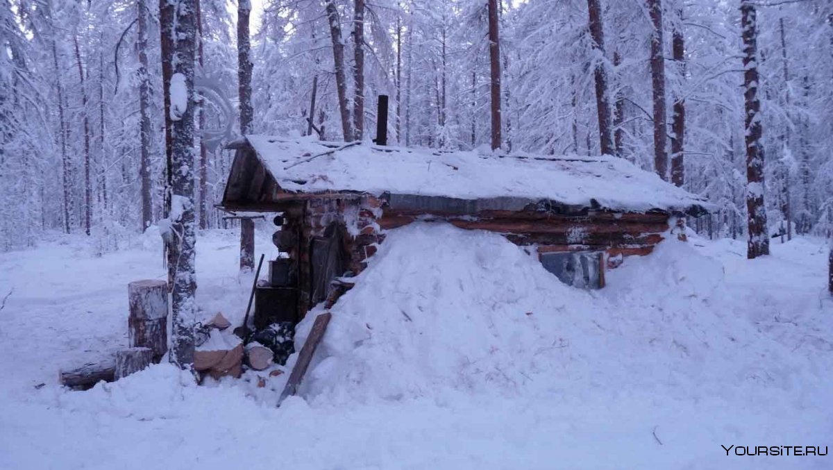 Изба в тайге Карелии