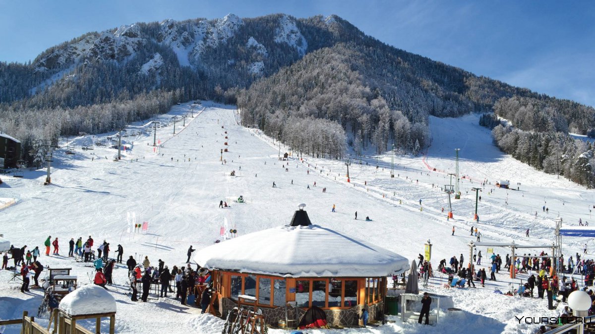 Краинска гора Словения