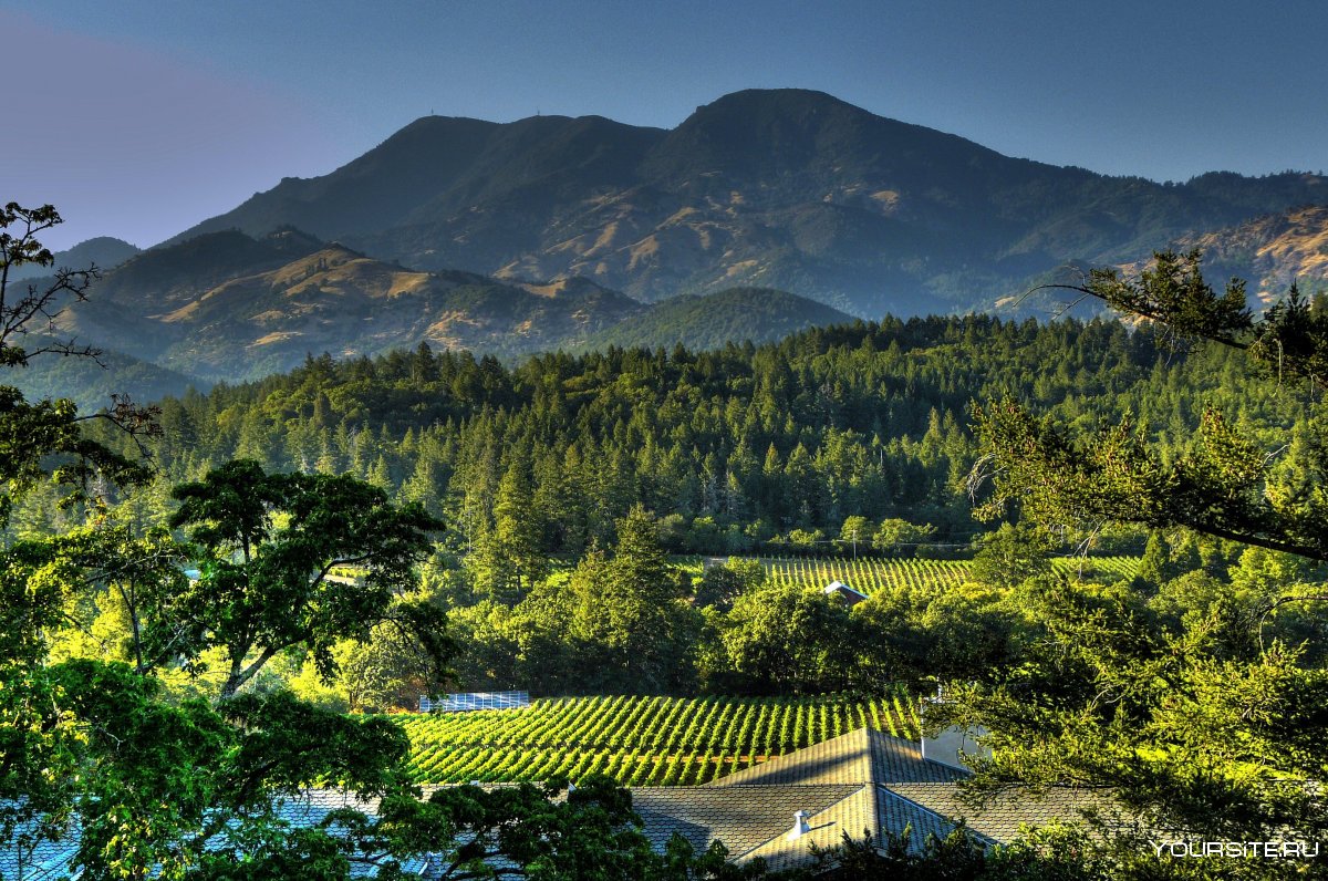 Долина Napa Valley