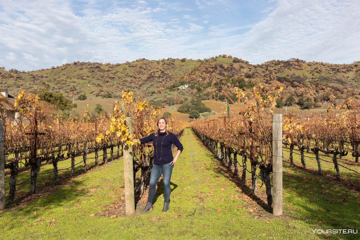 Landscape from Napa, California. Chappellet Vineyards overlooking Lake Hennessey.