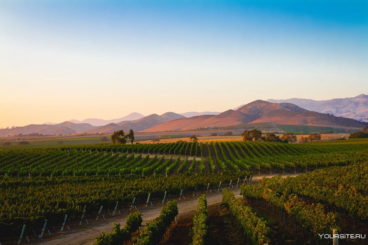 Долина Napa Valley