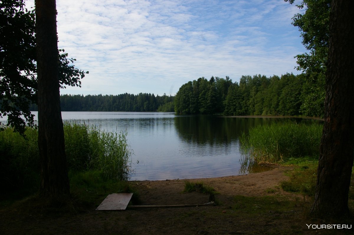 Озеро Кирилловское Ленинградская область