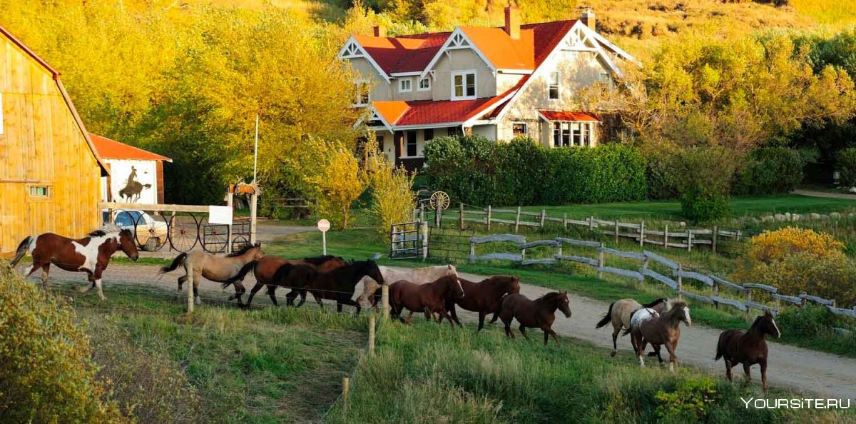 Ферма в Колорадо