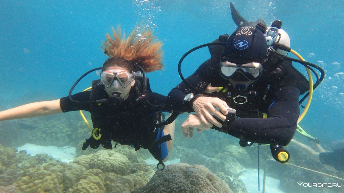 Программа Padi discover Scuba Diving