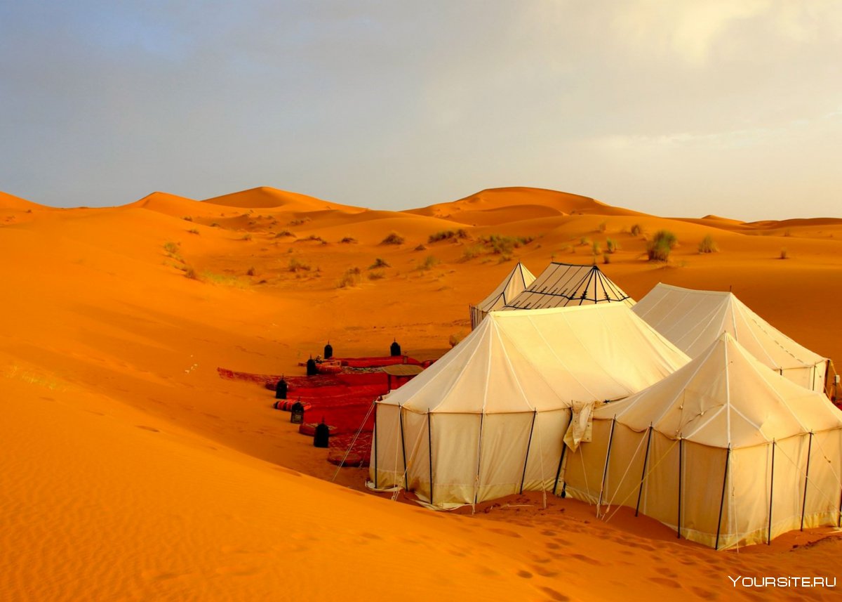 Палатки бедуинов в пустыне сахара